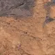 Підсходник Форест Руселаре