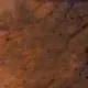 Підсходник Форест Брюгге